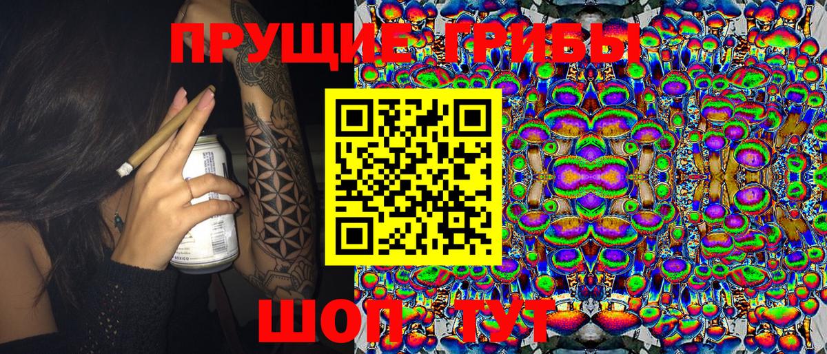 Абакан  где купить   Вход с VPN  Псилоцибиновые грибы Cubensis  Псилоцибиновые грибы Magic Shrooms 