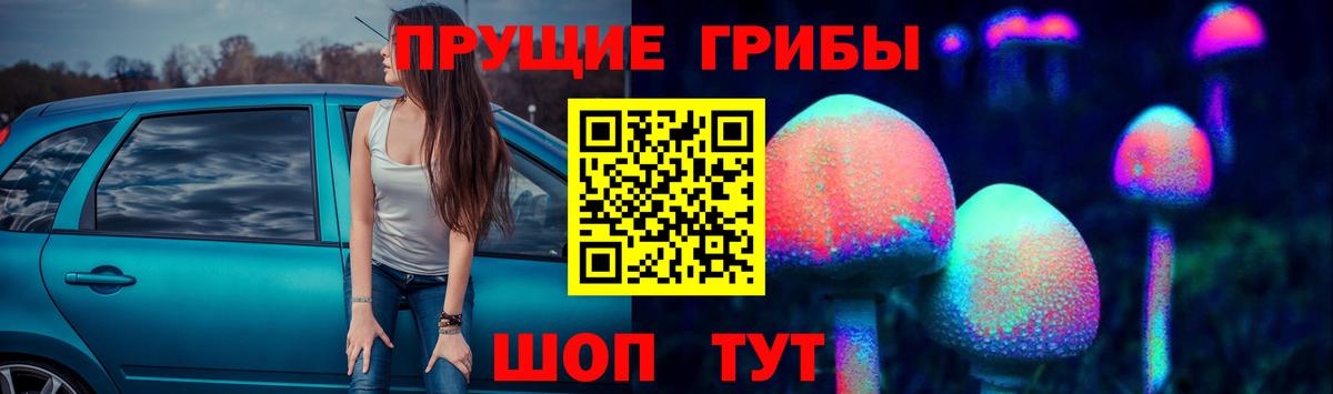Галлюциногенные грибы мухоморы Абакан